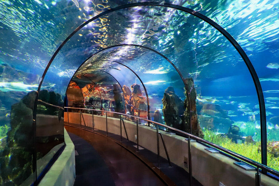 Acryic tunnel - manufacture
