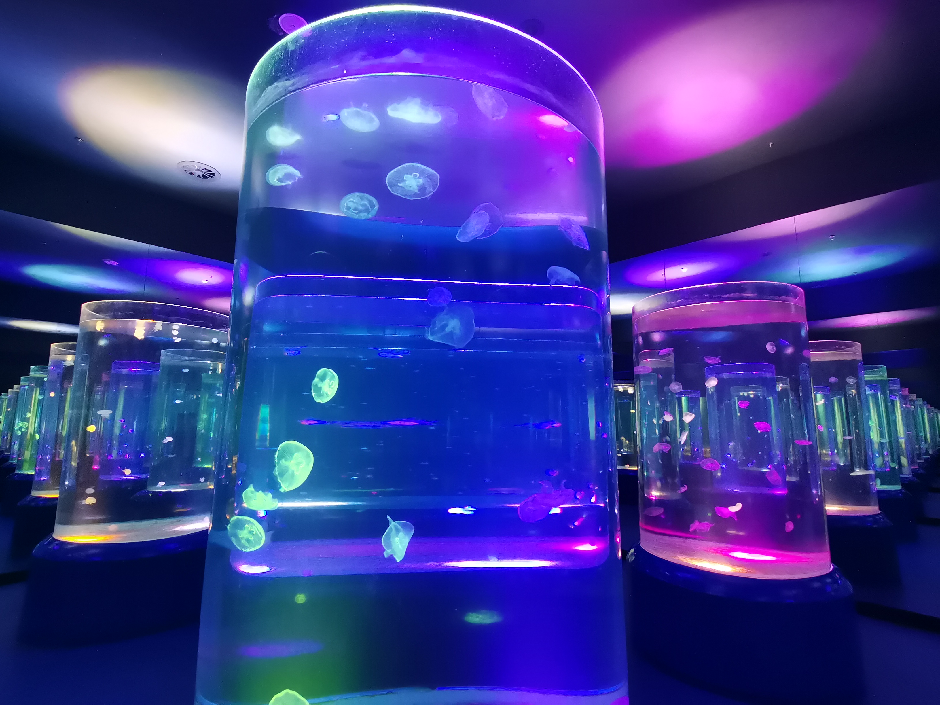 Acrylic jellyfish aquarium - manufacture