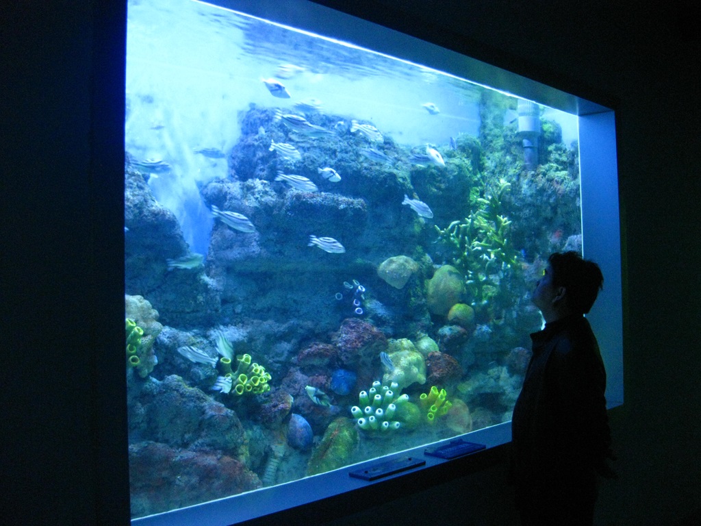 Leyu Aquariums Acrylic Window (2)