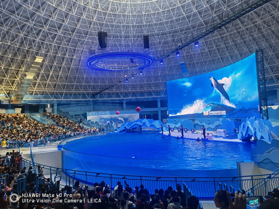Xuzhou Oulebao Polar Ocean Park - Leyu (2)