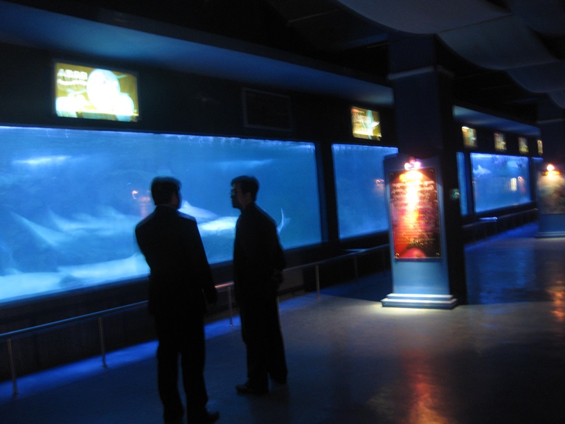 Shandong Penglai Underwater World - Leyu Acrylic Window