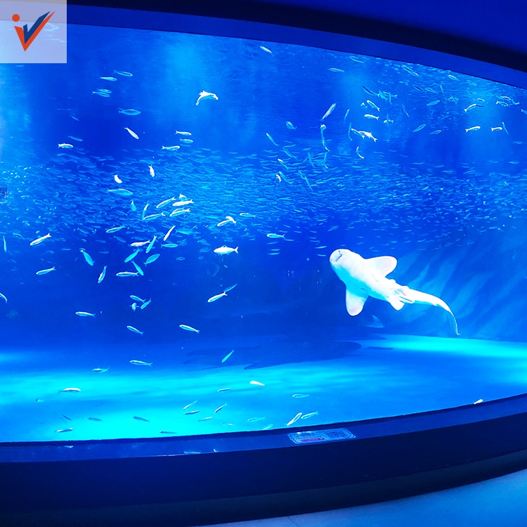 Luxury Design Custom Acrylic View Window For Aquarium