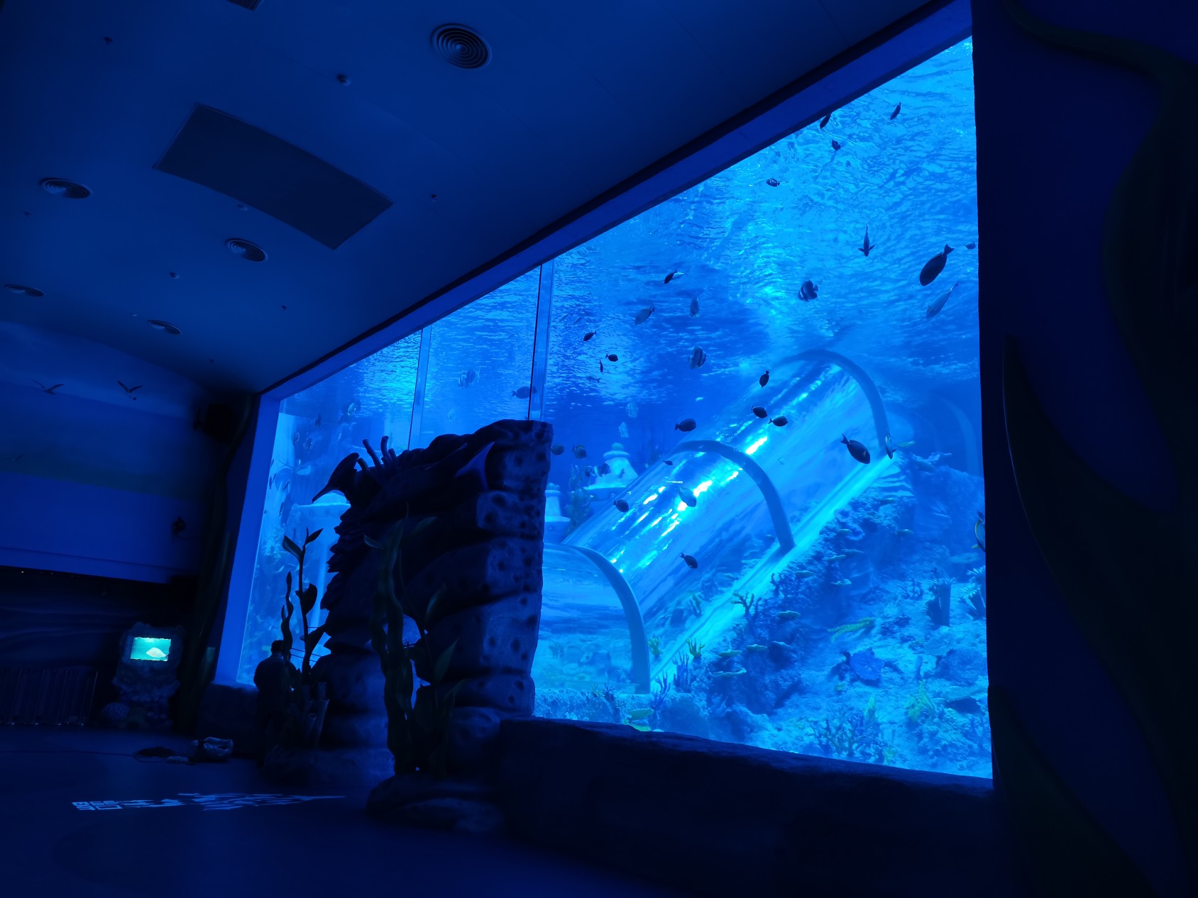 Guangdong Oceanarium &ndash; LEYU&rsquo;s Large Acrylic Aquarium Engineering Case in Guangzhou4