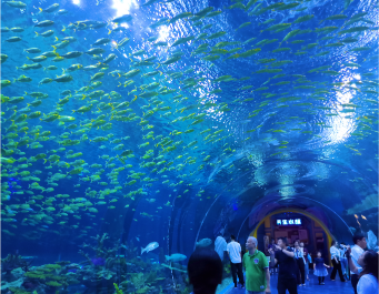 Underwater Restaurant Project