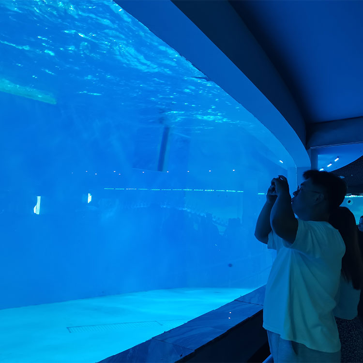 I want to purchase Acrlic sheets for new aquariums from professional acrylic factory - Leyu Acrylic Sheet Products Factory