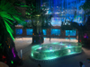 Acrylic Aquariums: Stronger, Lighter, and More Durable - Leyu