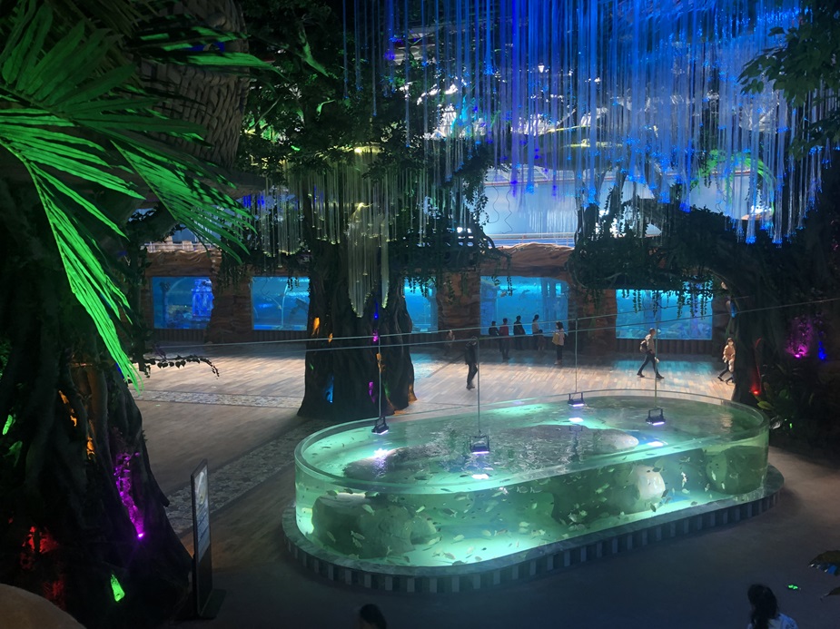 Acrylic Aquariums: Stronger, Lighter, and More Durable - Leyu