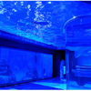 Acrylic sheets - Factory Direct Sales Price Leyu Factory specializes in producing acrylic panels at the best price - Leyu