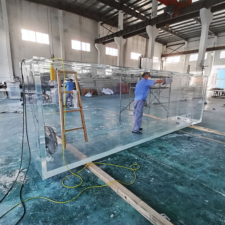 Leyu acrylic aquarium factory interprets the difference between acrylic vs glass aquarium - Leyu