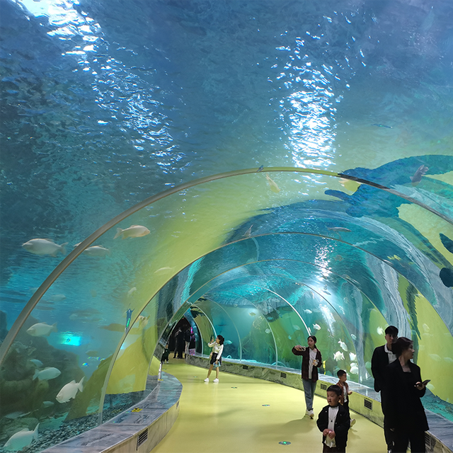 Terokai The Ocean World Oceanarium And Education Centre-leyu Acrylic Factory