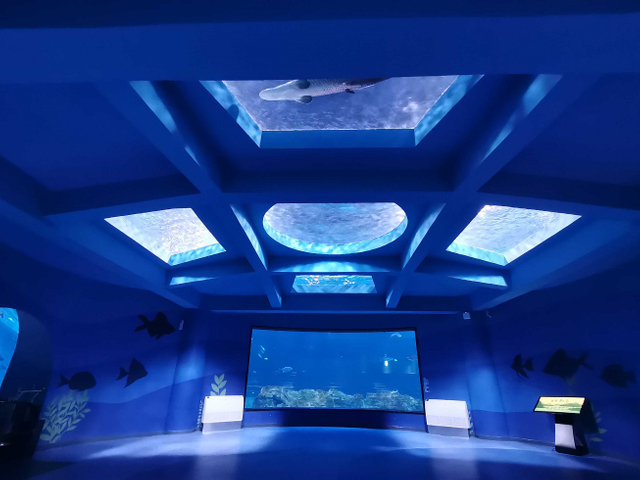 Di manakah penginapan Ocean Park - Leyu