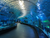 Aqualife Aquarium constructed by Leyu Acrylic Aquarium Factory - Leyu