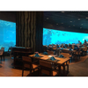 Leyu Acrylic Aquarium Factory has completed over 70 Aquarium Architectures - Leyu