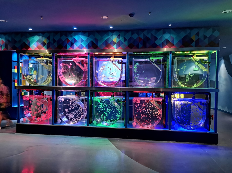 Shanghai Haichang Polar Ocean Park - Leyu Arylic Aquarim