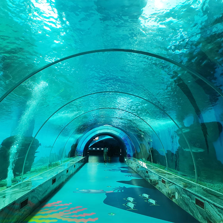 Acrylic vs Glass For Underwater Viewing Panels 