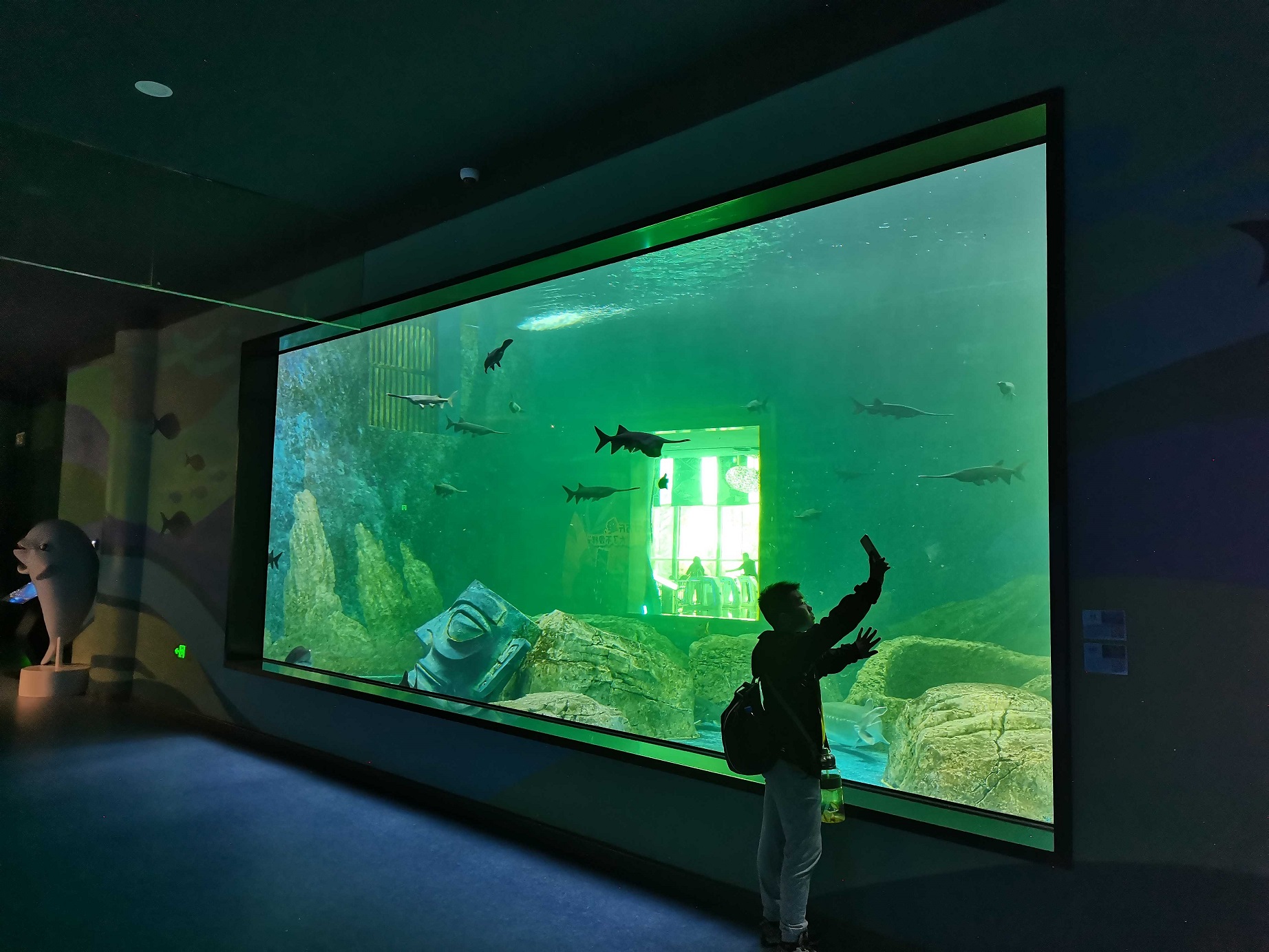 Where is the Ocean Park inn - Leyu