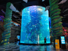 Aqualife Aquarium constructed by Leyu Acrylic Aquarium Factory - Leyu