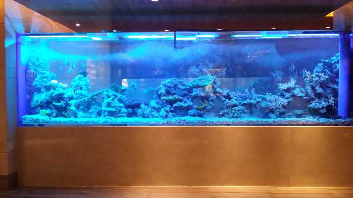 How to own Acrylic Aquariums & Plastic Fish aquariums - Leyu (3).jpg