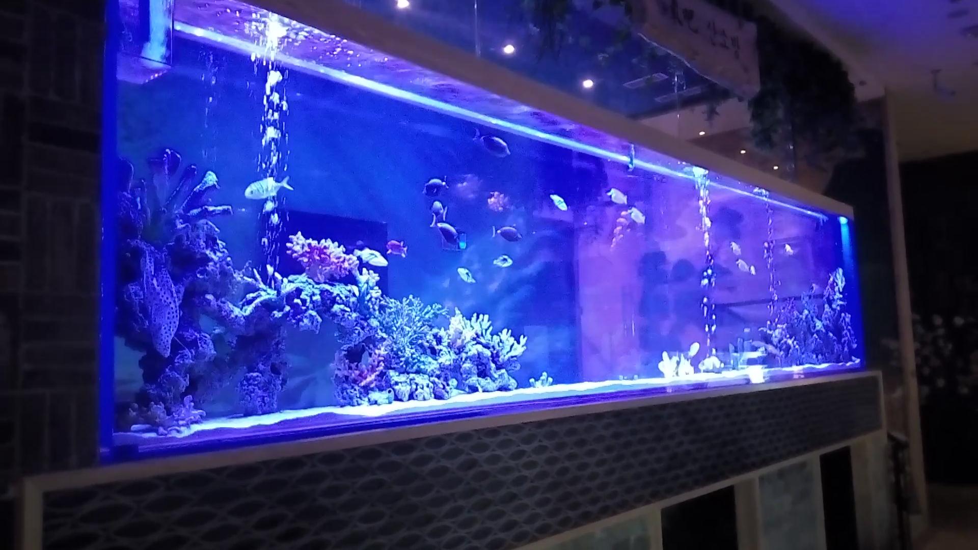 Which is the best Acrylic Aquarium Fish Tank in 2024 LEYU Acrylic Fish Tank Factory will answer your questions - LEYU