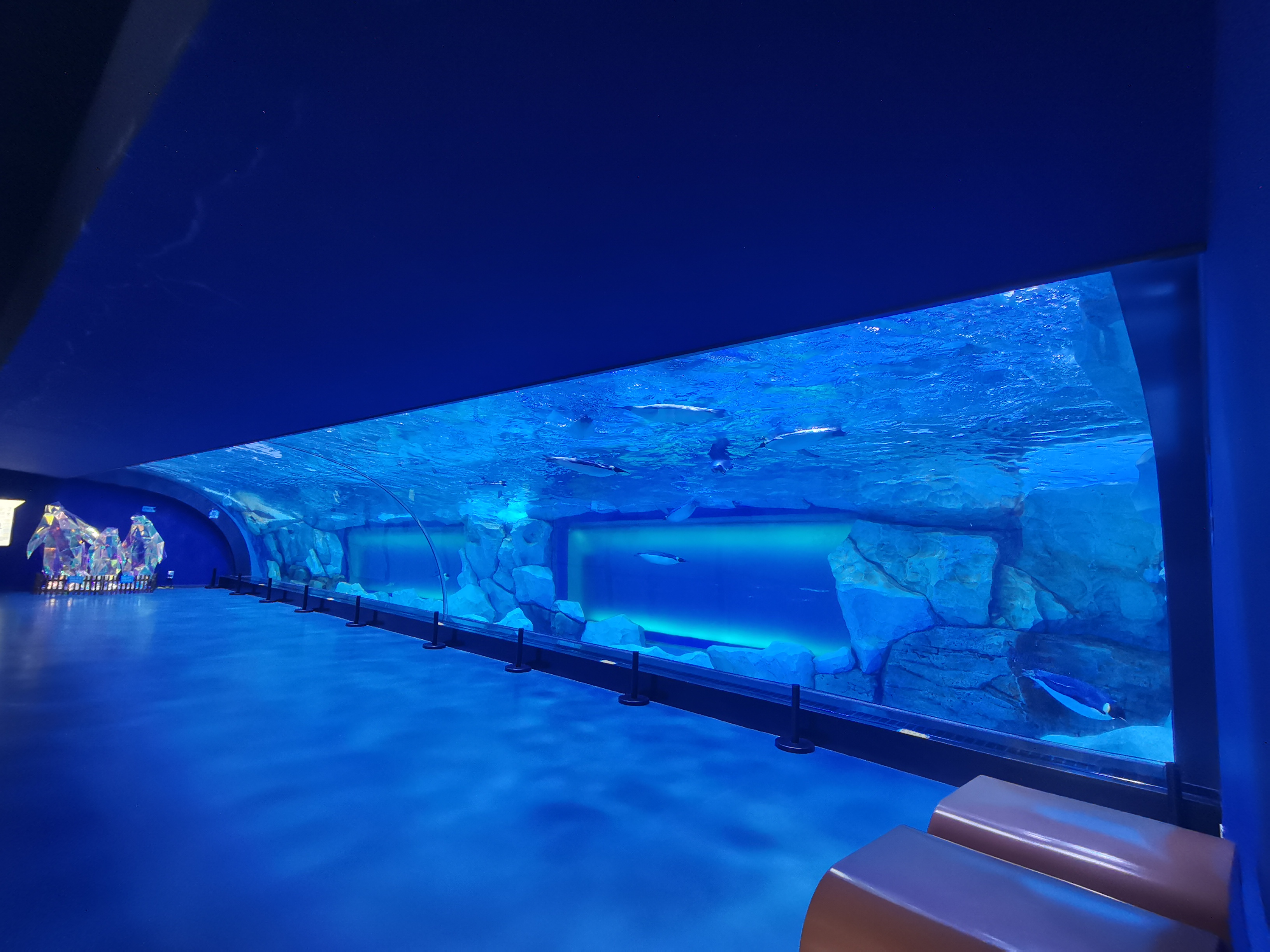 Acrylic window aquarium panel - LEYU
