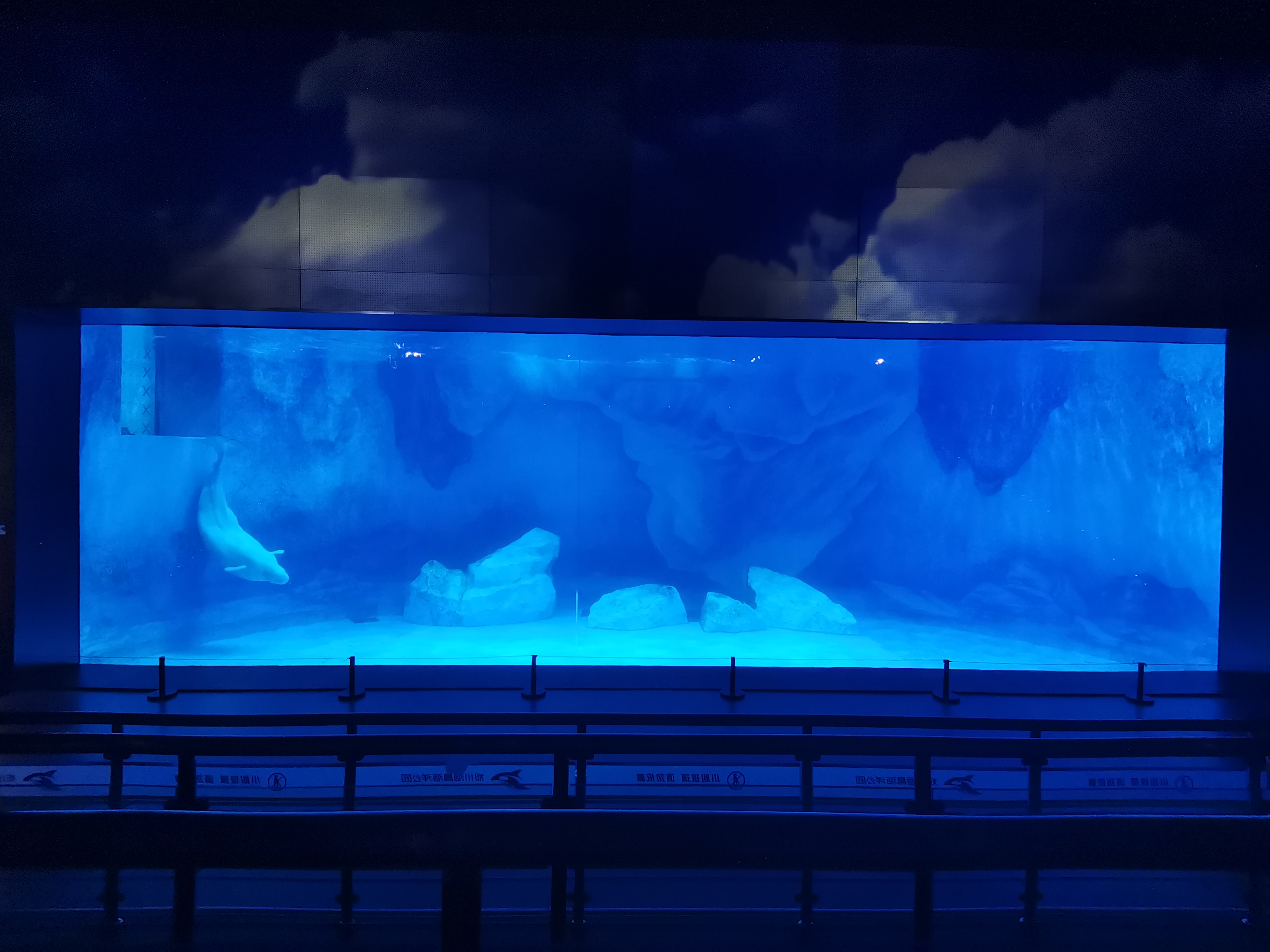 Acrylic window aquarium - LEYU