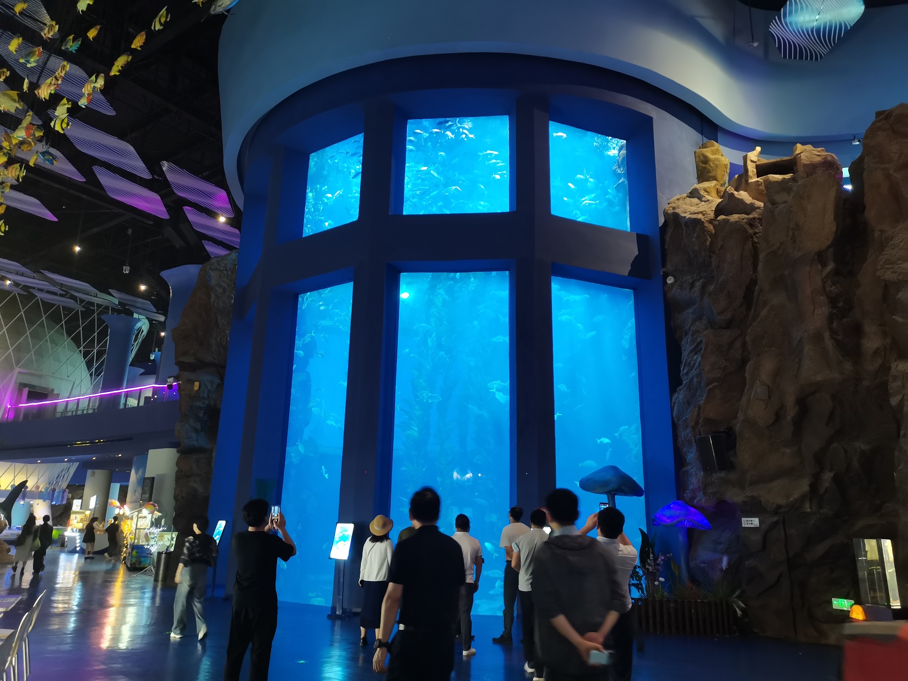 Acrylic window aquarium - manufacturer