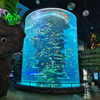 Acrylic Transparent Cylinder Aquariums, Packaging Type: multilayer panels - leyu