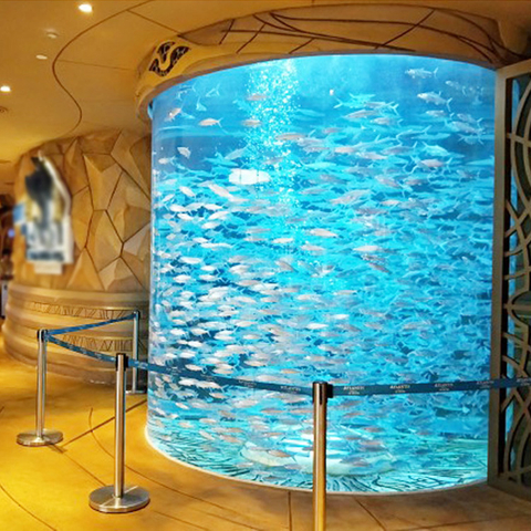 Considerations For Building Aquariums With Acrylic Sheet- Leyu 