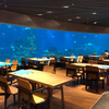 Aqualife Aquarium Leyu Acrylic Aquarium Factory Acrylic Aquarium - Leyu