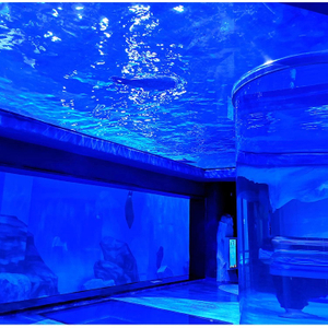 Premier Acrylic Aquarium Manufacturer – Custom Large Acrylic Aquariums & Acrylic Fish Tanks
