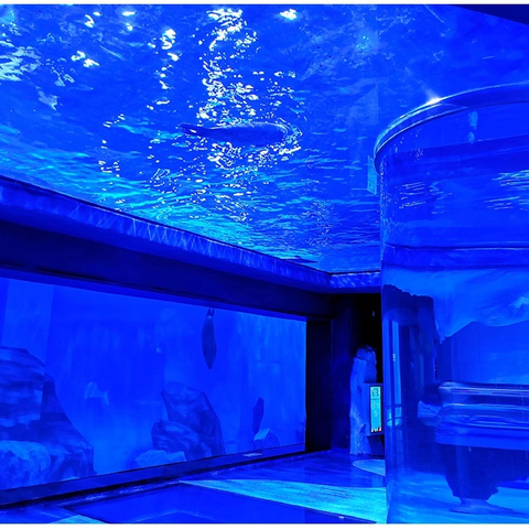 Premier Acrylic Aquarium Manufacturer – Custom Large Acrylic Aquariums & Acrylic Fish Tanks