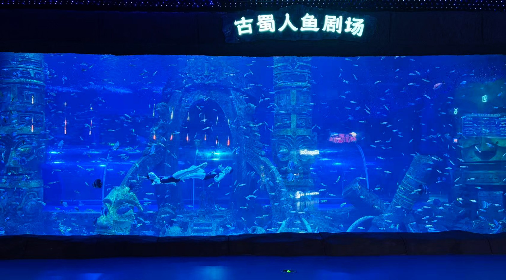 Chengdu Panda Oceanarium &mdash; Leyu Project Case9