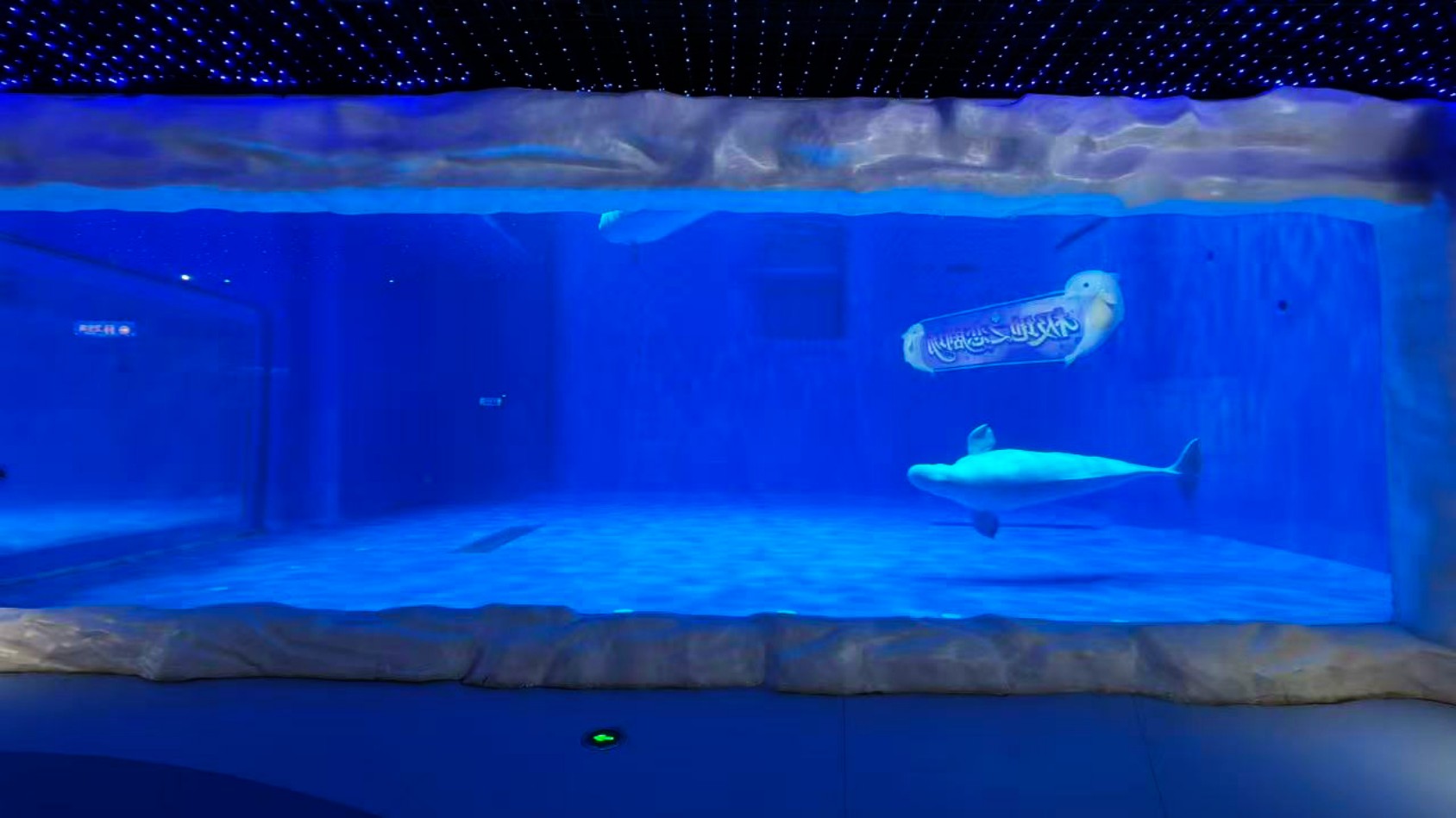 Chengdu Panda Oceanarium &mdash; Leyu Project Case6
