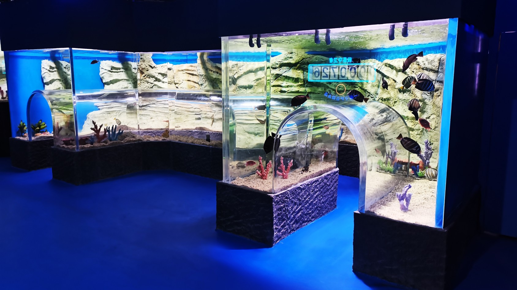 Guangdong Oceanarium &ndash; LEYU&rsquo;s Large Acrylic Aquarium Engineering Case in Guangzhou12