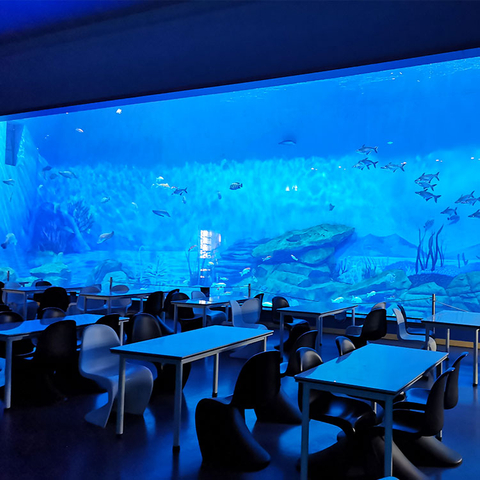 I want to purchase Acrlic sheets for new aquariums from professional acrylic factory - Leyu Acrylic Sheet Products Factory