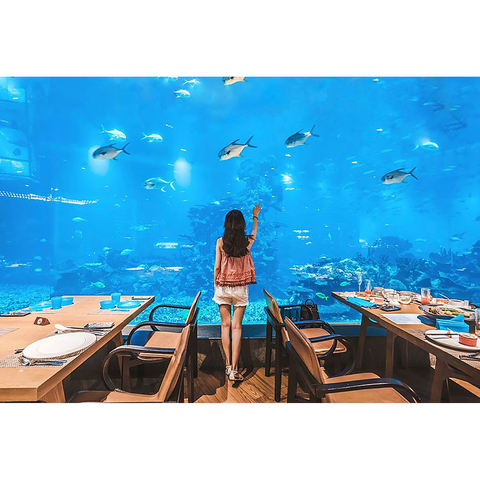 Popular Items in Ocean Park in Washington-leyu Acrylic Factory - Leyu