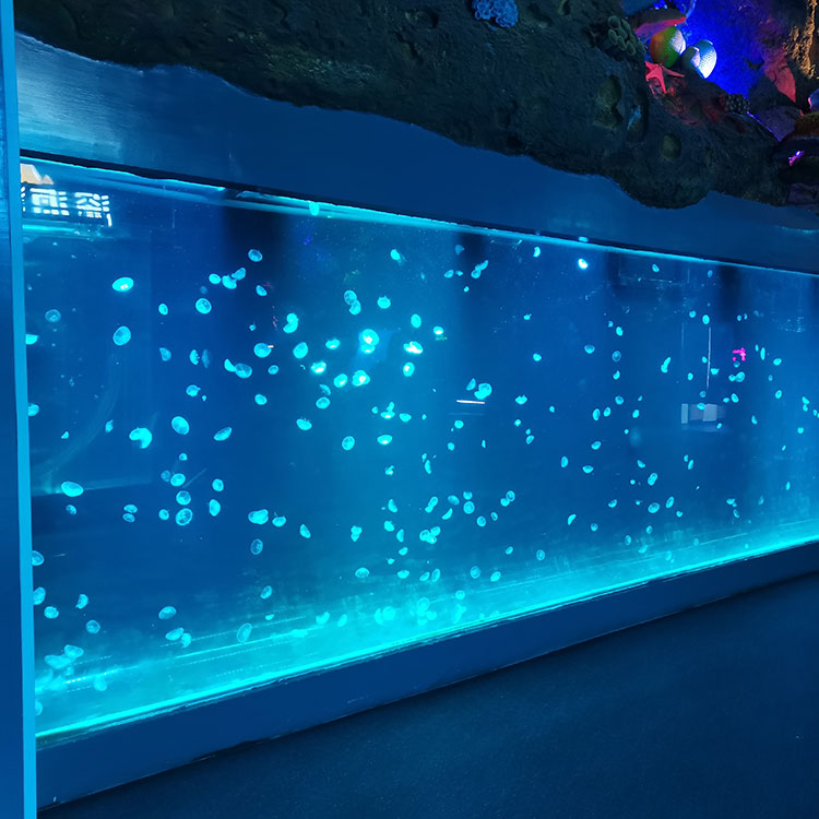 Big Fish Custom Acrylic Aquariums | Custom Aquarium - Leyu