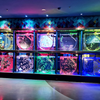 Some Considerations while Constructing a Fish Tank leyu tell you- Leyu Acrylic