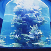 Large Round Acrylic Shark Aquarium Free Fish Tank Leyu Acrylic Factory customizes for you - LEYU