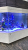 Acrylic Tank Manufacturing – Custom Acrylic Aquarium Tanks & Aquatic Engineering Solutions - Leyu