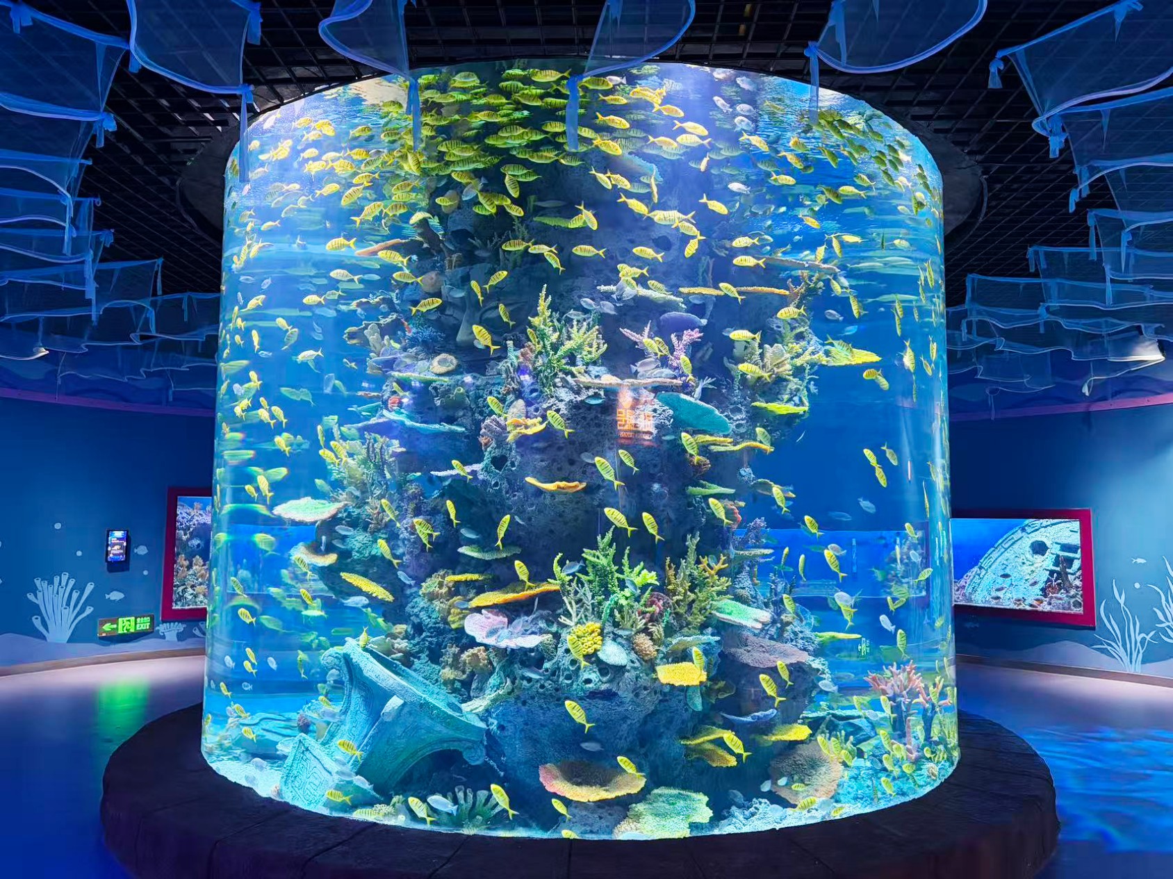 Chengdu Panda Oceanarium &mdash; Leyu Project Case5