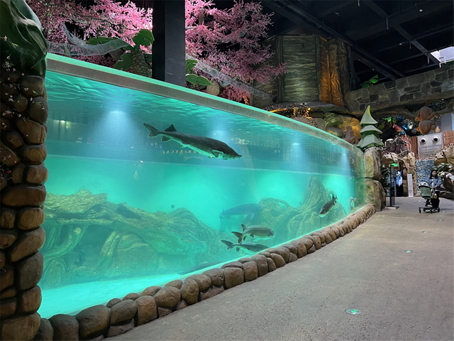 Bagaimana untuk membuat lembaran akrilik akuarium Leyu Aquarium kilang profesional adat super tebal lembaran akrilik akuarium - Leyu