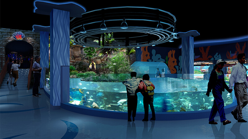Acclimatization and Introduction of Marine Life