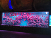 Leyu acrylic provide transparent large acrylic aquarium fish tanks for sale - Leyu