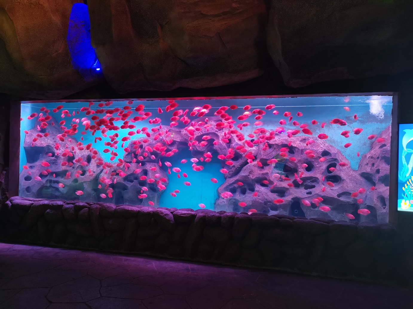 Leyu acrylic provide transparent large acrylic aquarium fish tanks for sale - Leyu