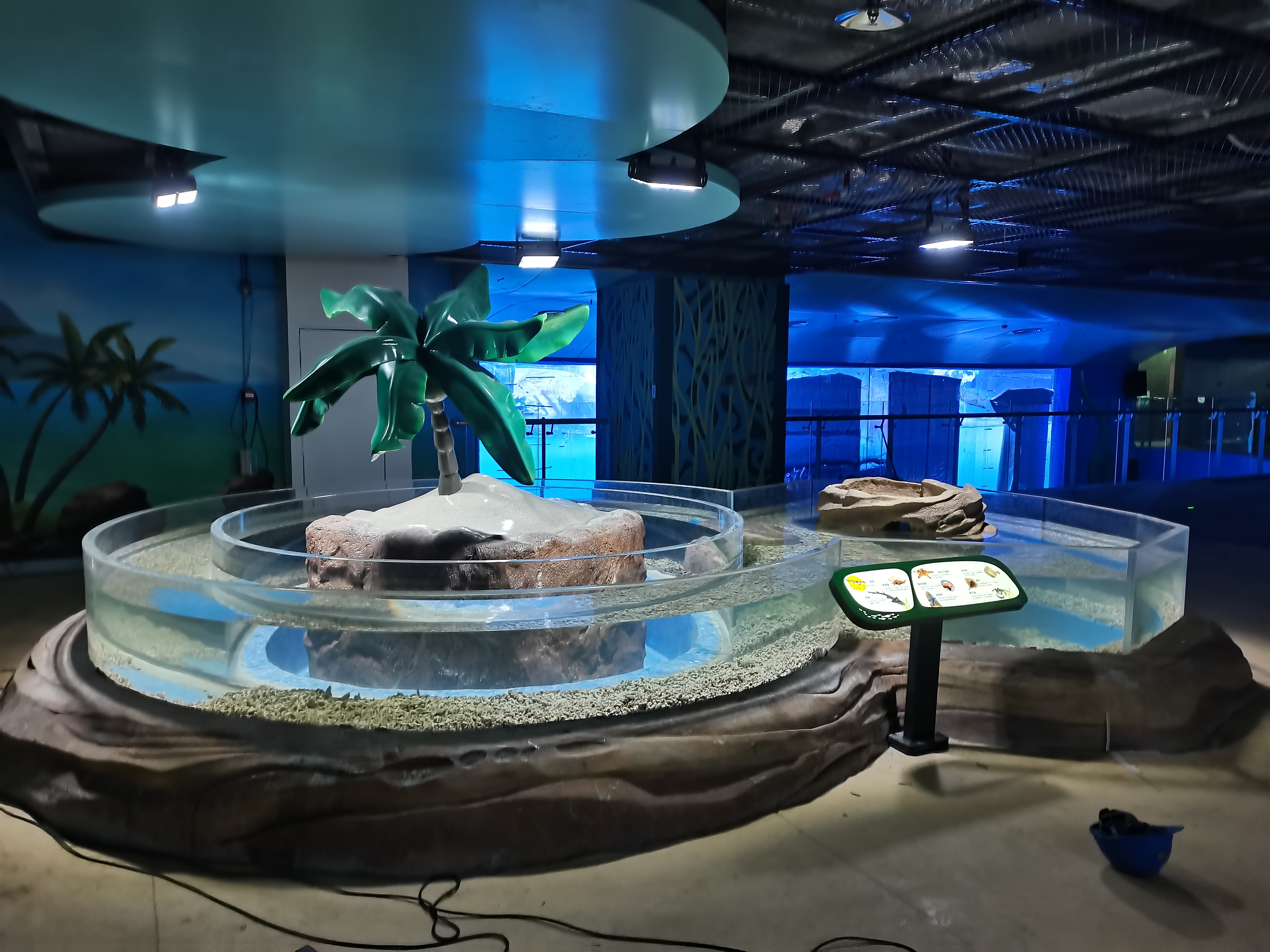 The Key Steps And Matters Needing Attention in The Construction of Aquarium Engineering