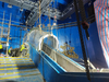 Fish Tunnel For Aquarium - Leyu Acrylic Sheet Products Factory