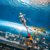 360 Aquarium Tunnel Polar Ocean World - Leyu