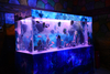 I want to custom a seaclear acrylic aquarium for sale - leyu 