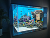 How To Custom An Acrylic for Aquarium - Leyu 